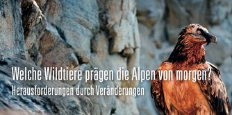 Wildökolgisches Forum 2026 © AdobeStock