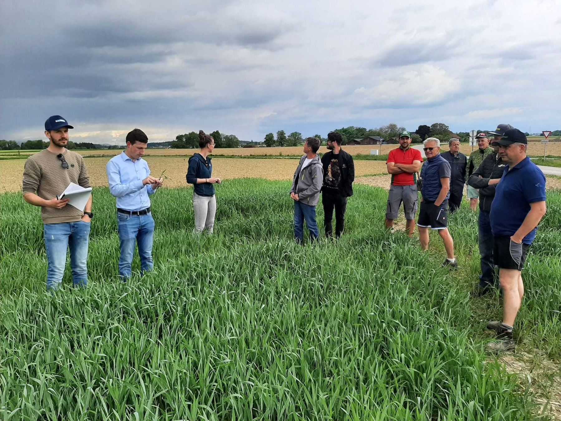 Eindrücke von der Arbeitskreis- Feldbegehung in Sipbachzell am Betrieb Mauhart. Besprechung aktueller Fragen zur gewässerschonenden Kulturführung bei WG, W-Triticale, Soja und Mais. Am Ende der Feldbegehung stellte sich etwas Regen ein, - der momentan entscheidende Ertragsfaktor für die Bestände.  © BWSB