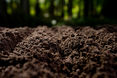 Bodenschätzer gesucht! © AdobeStock