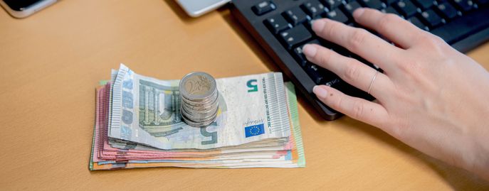 Geld Steuern (c) LK NÖ Eva Lechner © LK NÖ/Eva Lechner