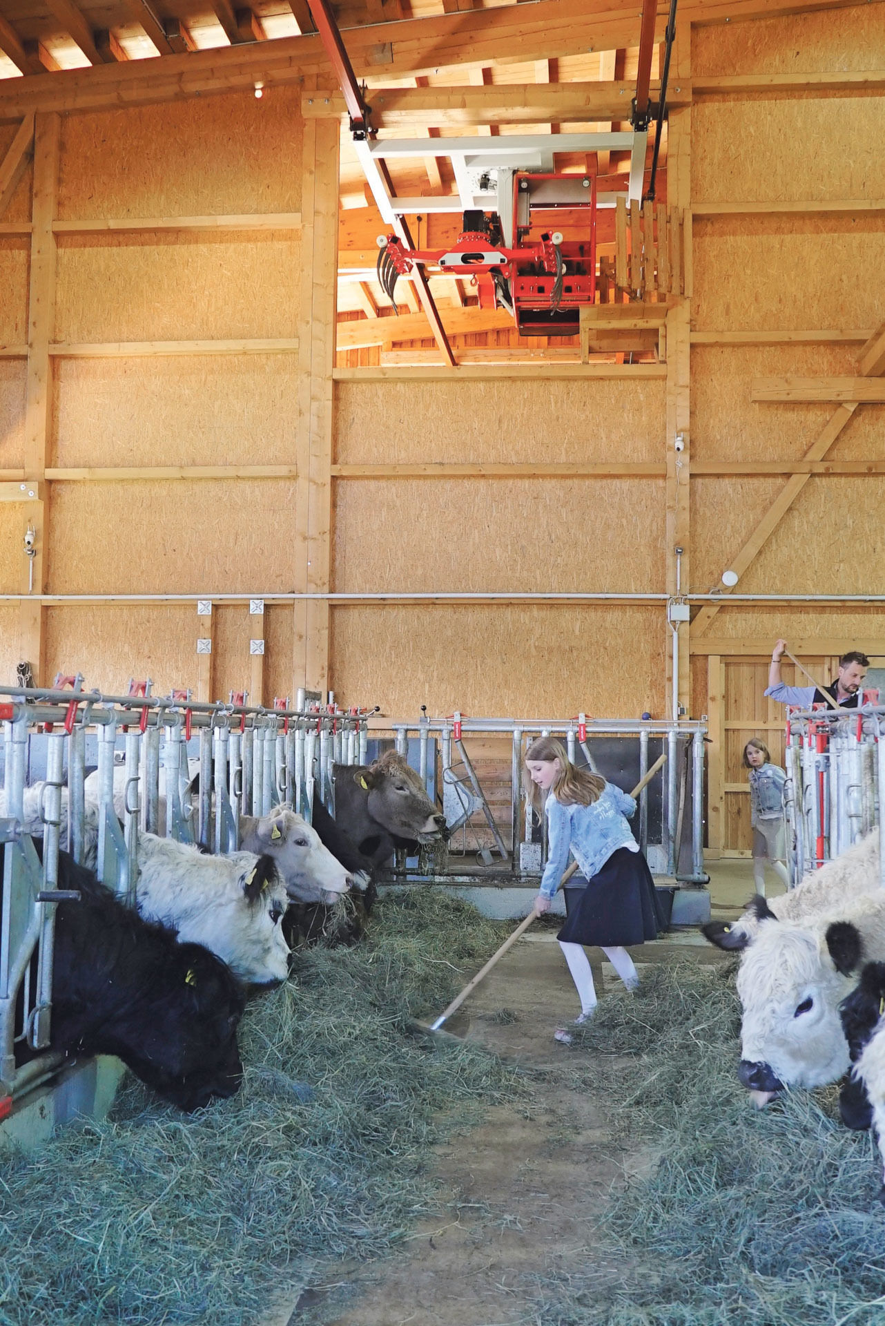 Mit Galloways und neuem Stall in die Zukunft.jpg © Hatheier