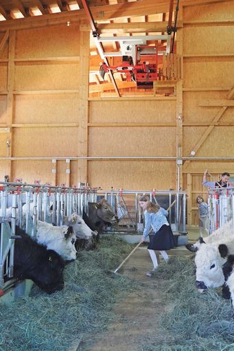 Mit Galloways und neuem Stall in die Zukunft.jpg © Hatheier