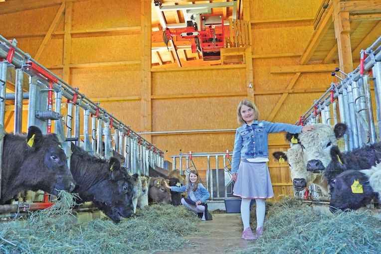 Mit Galloways und neuem Stall in die Zukunft.jpg © Hatheier