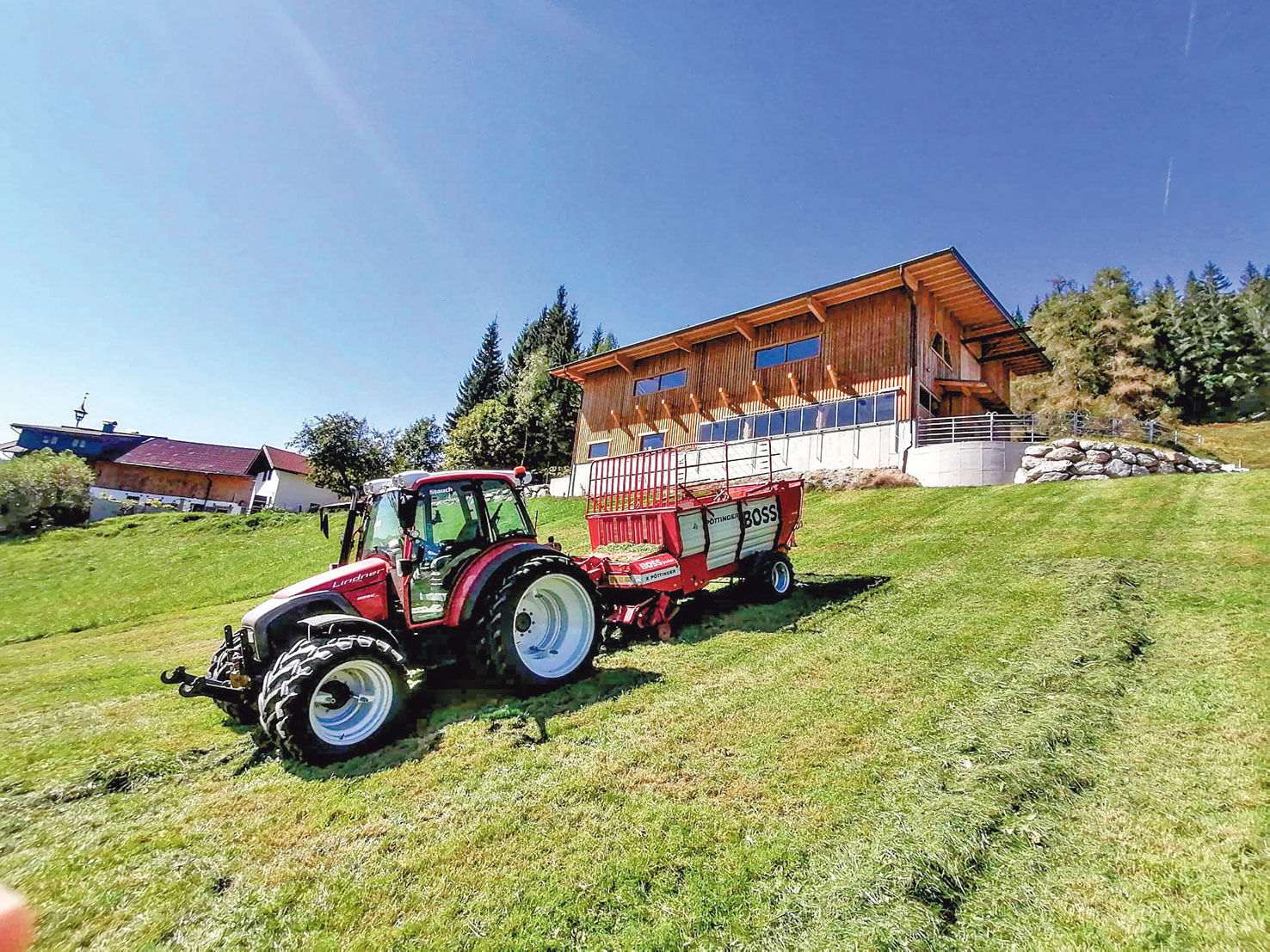 Mit Galloways und neuem Stall in die Zukunft.jpg © Hatheier