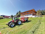 Mit Galloways und neuem Stall in die Zukunft.jpg © Hatheier