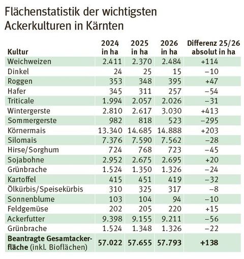 flächenstatistik Ackerkulturen Kärnten.jpg © LK Kärnten