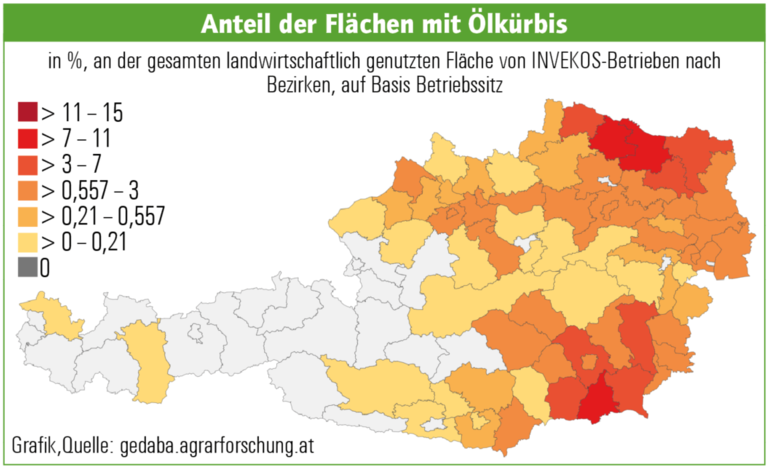 Anteil der Flächen mit Ölkürbis.png © Archiv