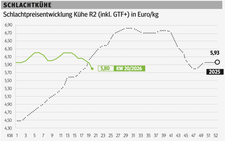 Schlachtkuhgrafik KW 20.png © Grafik RZV