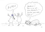 Song Contest.jpg © Mitterwallner