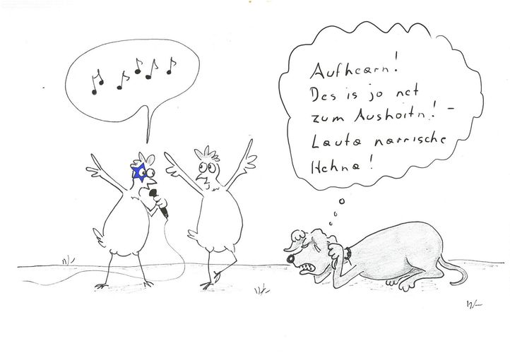 Song Contest.jpg © Mitterwallner