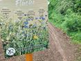 Biodiversitätsflächen © BWSB/Wallner