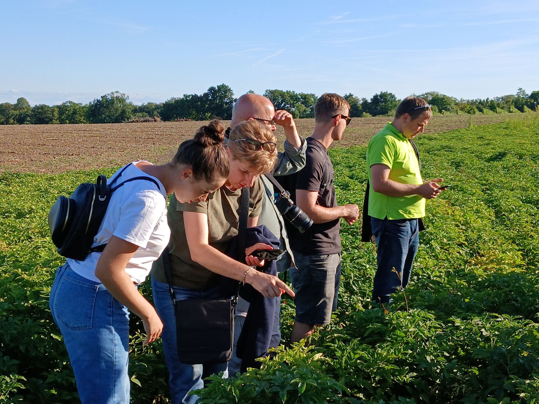 Advisory Net Pest_Cross Visit.jpg © Stockmann/LK Steiermark