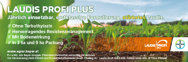 Laudis_Profi_Plus_Banner_Mai_2026_300x100px_2026 © Archiv