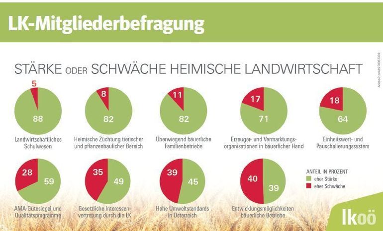 Stärken und Schwächen Landwirtschaft.jpg © LK OÖ