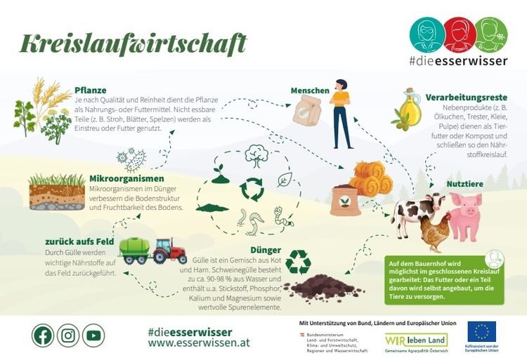 erle_Landwirtschaft verständlich erklärt_Infografik Kreislaufwirtschaft 2.jpg © die Esserwisser