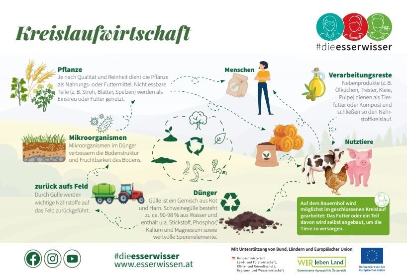 erle_Landwirtschaft verständlich erklärt_Infografik Kreislaufwirtschaft 2.jpg © die Esserwisser