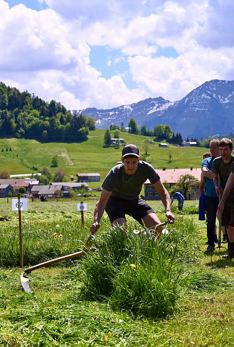 Mähen © Landjugend Jungbauernschaft Vorarlberg