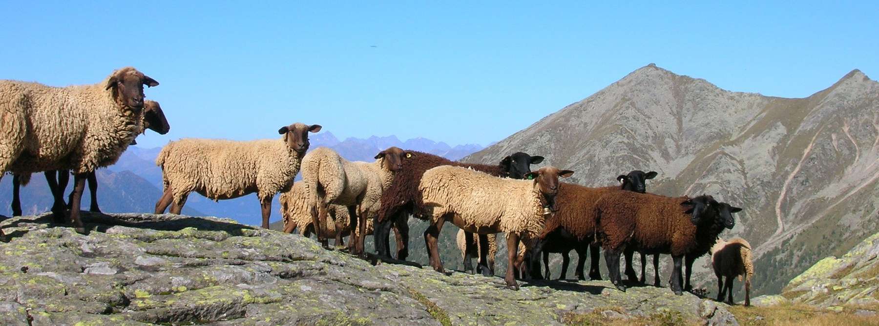 jura 3_Copyright Weichsler Hubert.jpg © Weichsler