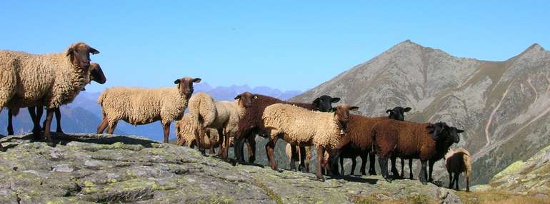 jura 3_Copyright Weichsler Hubert.jpg © Weichsler