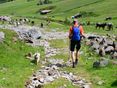 Almwanderer mit Hund@AdobeStock_475313132 © stock.adobe.com