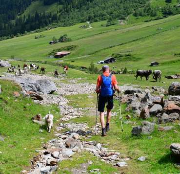 Almwanderer mit Hund@AdobeStock_475313132.jpg © stock.adobe.com