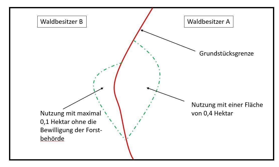 Borkenkäfer1 (002).jpg © LK Kärnten