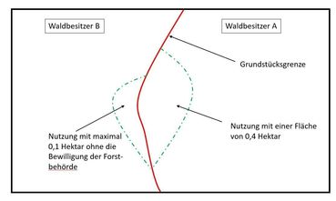 Borkenkäfer1 (002).jpg © LK Kärnten