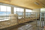 Mit Leidenschaft einen Lebenstraum verwirklicht.jpg © Etter