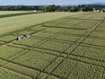 Feldtage der Landwirtschaftskammer Oberösterreich © LK OÖ