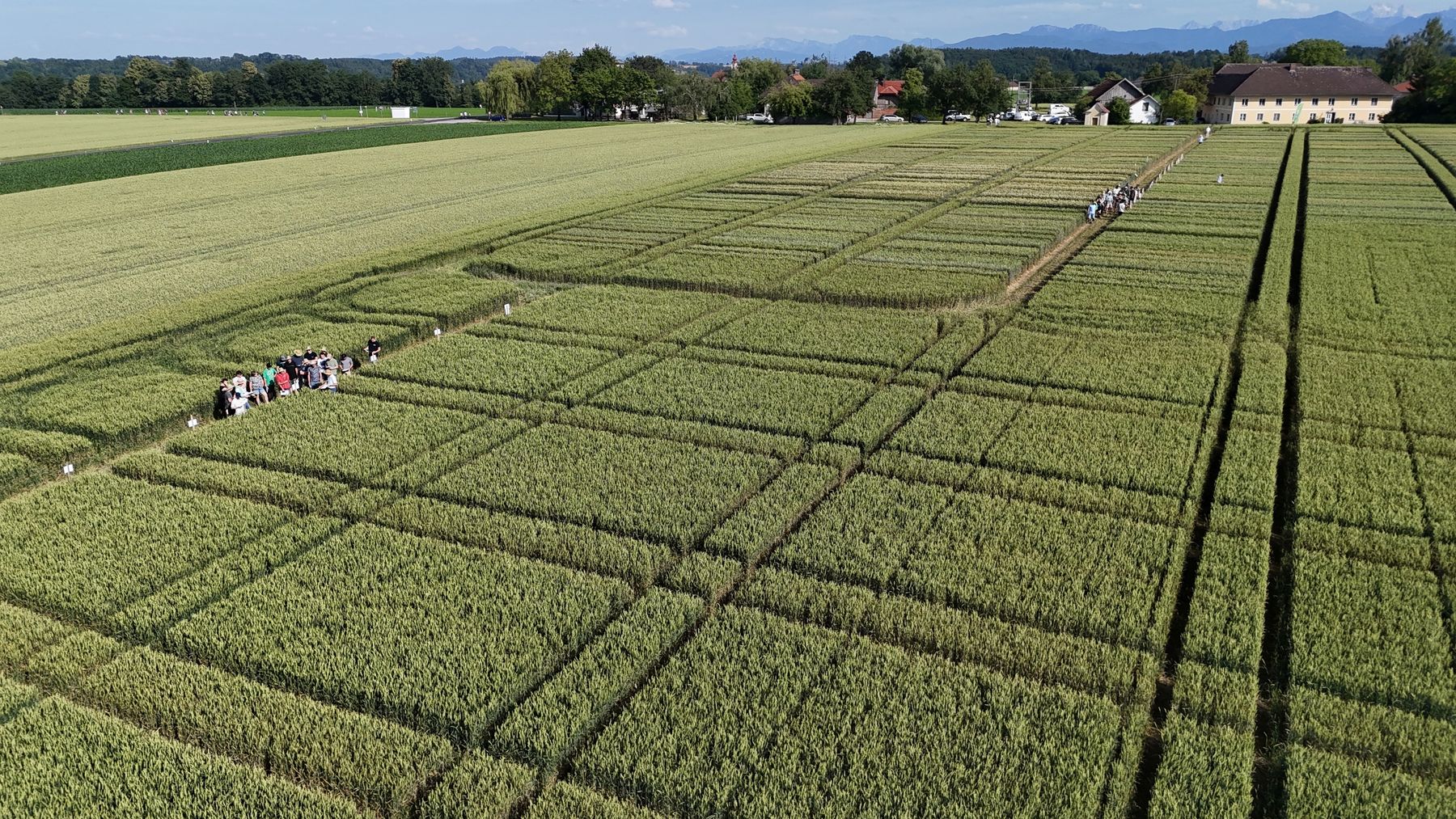 Feldtage der Landwirtschaftskammer Oberösterreich.jpg © LK OÖ