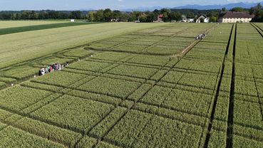 Feldtage der Landwirtschaftskammer Oberösterreich.jpg © LK OÖ