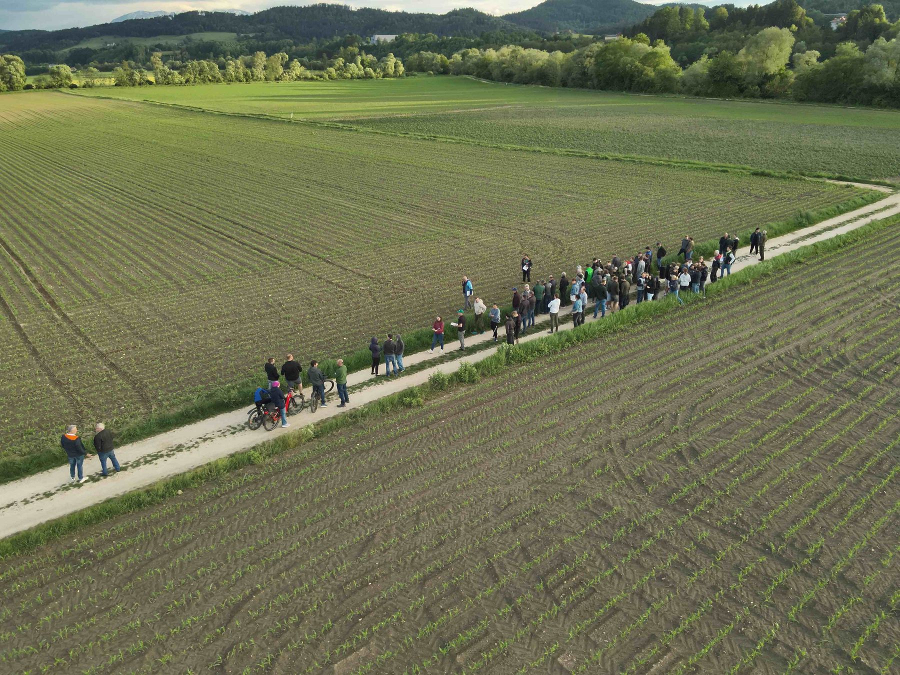 © Graf und LK Kärnten