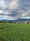 © Graf und LK Kärnten