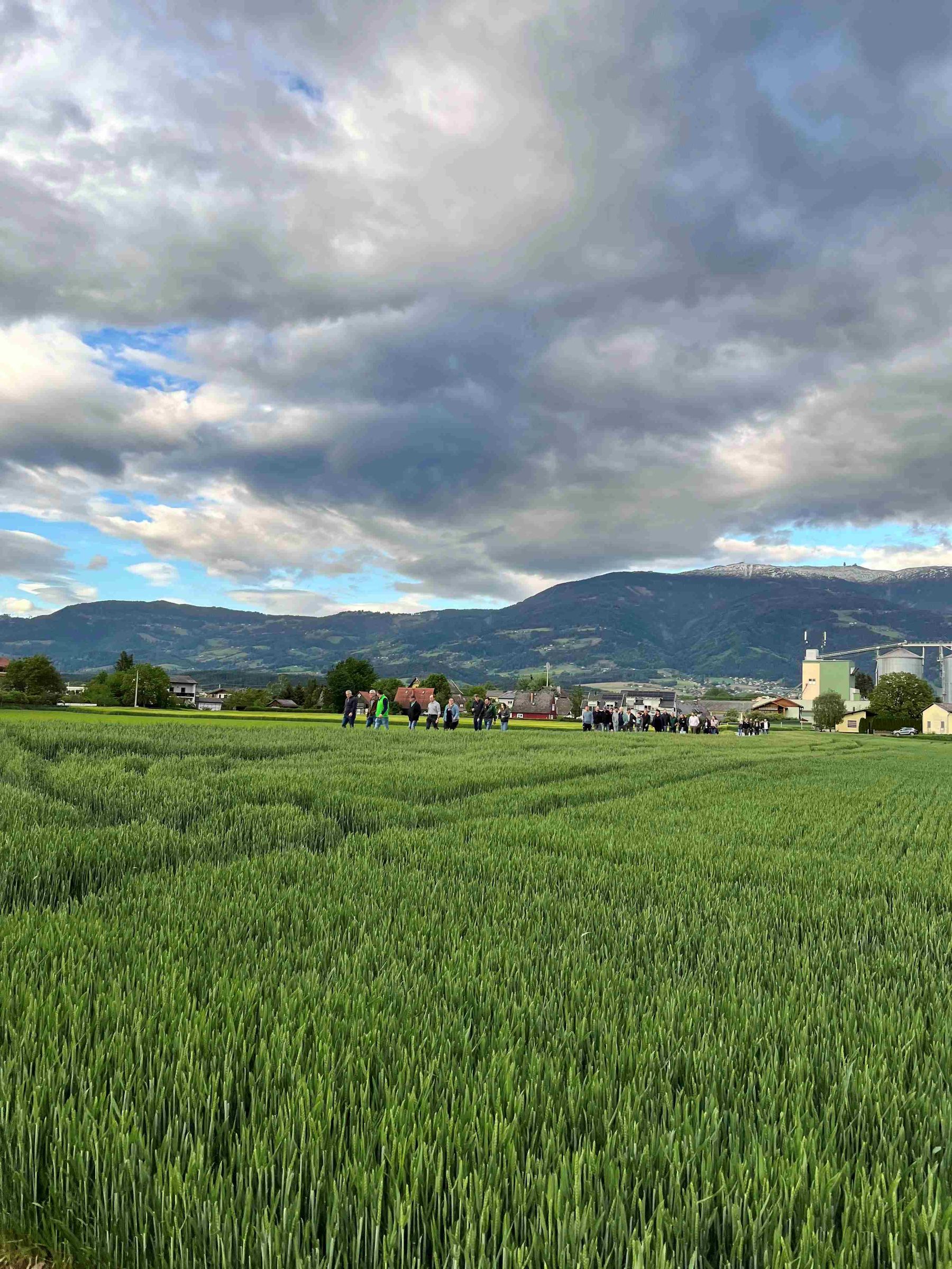 © Graf und LK Kärnten