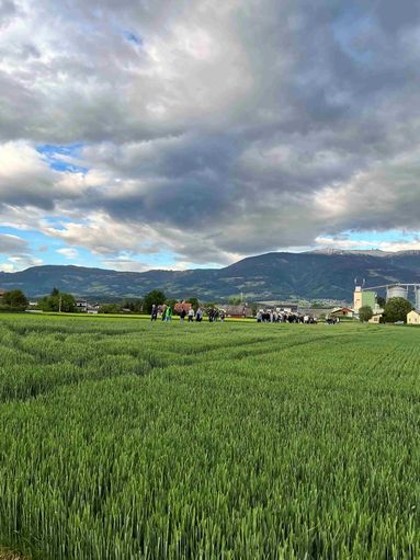 © Graf und LK Kärnten