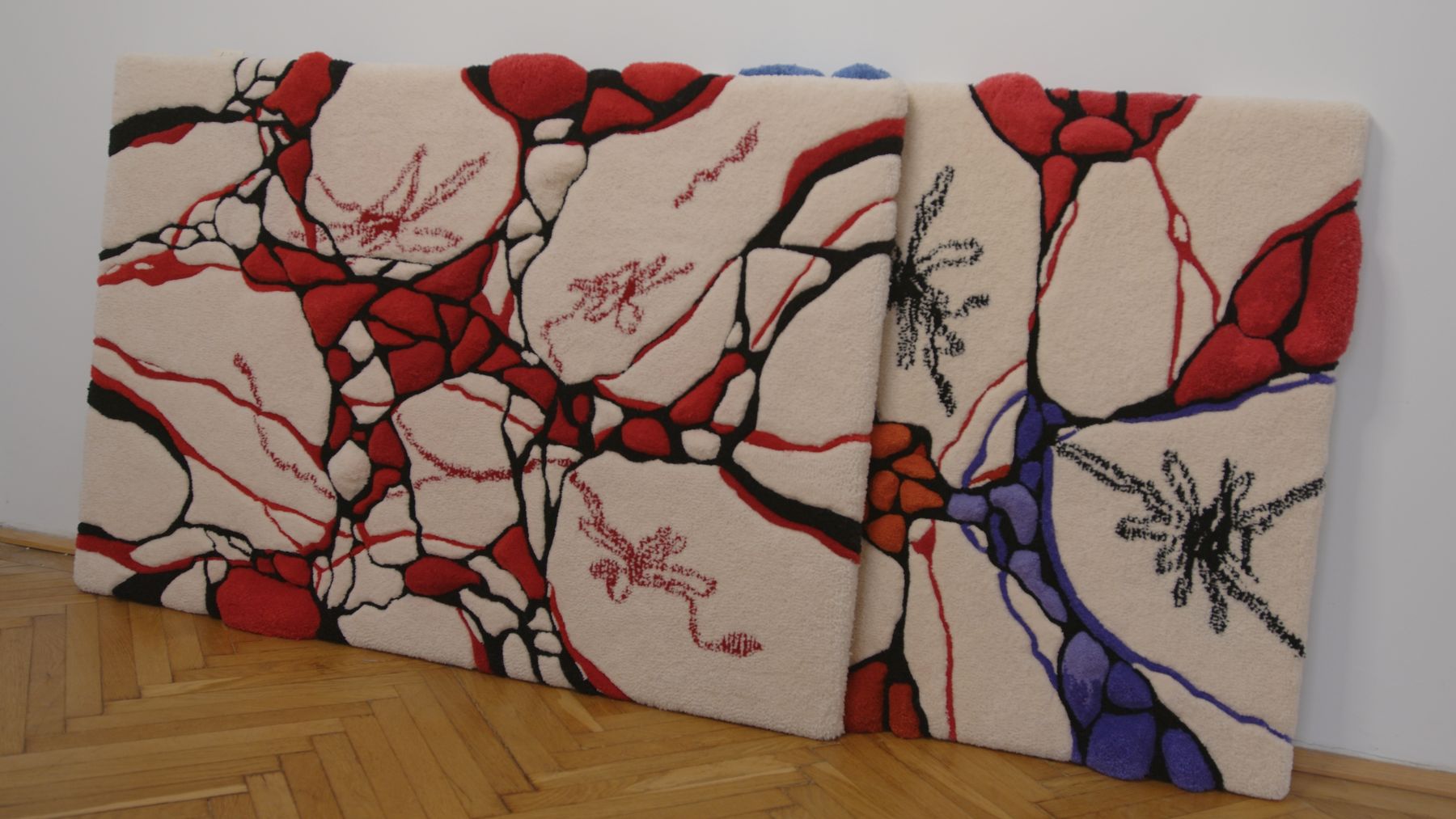 softanchor_serie.jpg © Antonio Labuhar