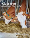 Posing Weltmilchtag Einkauf (1).jpg © LK Niederösterreich