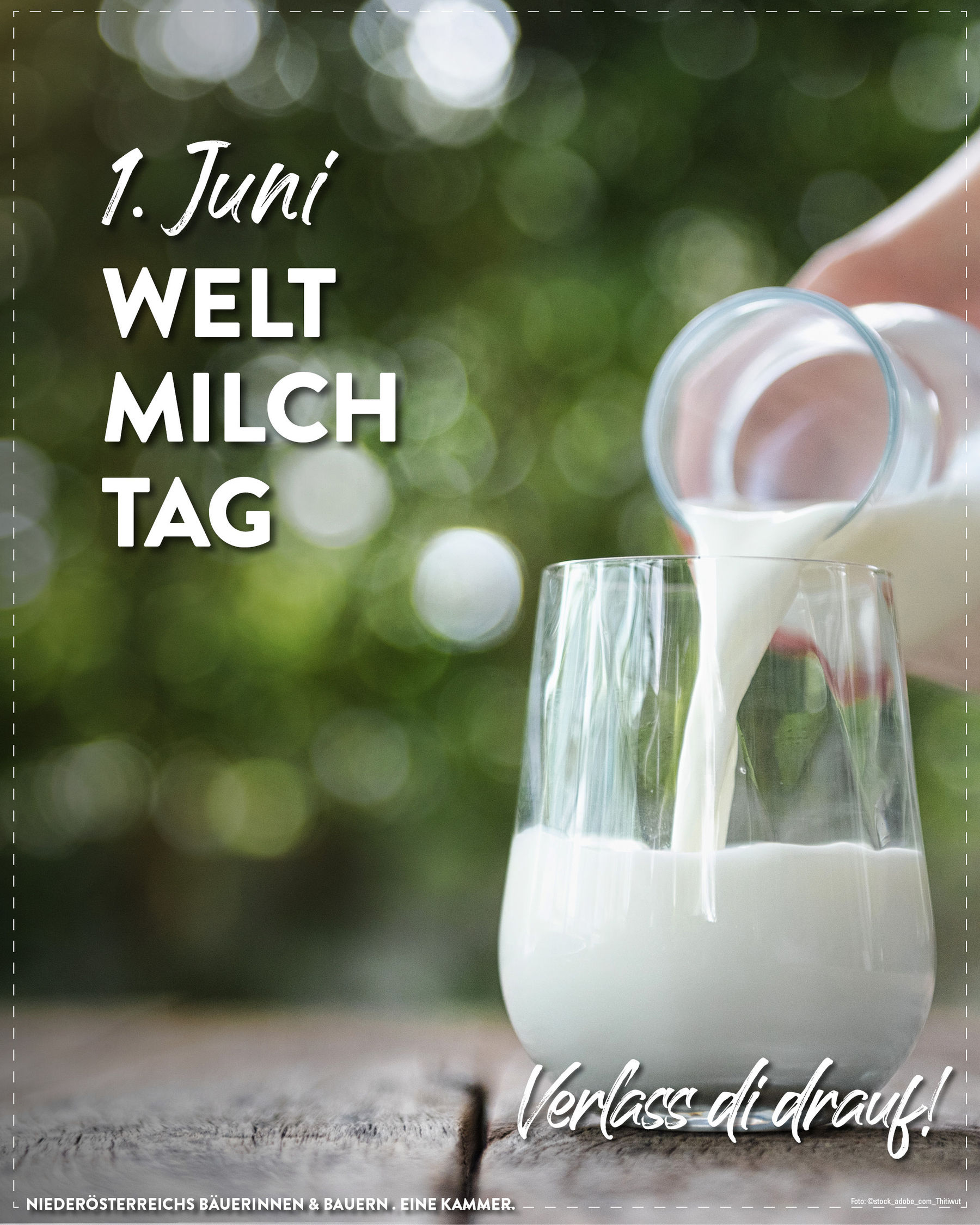 Posting Weltmilchtag2026 (2).jpg © LK Niederösterreich