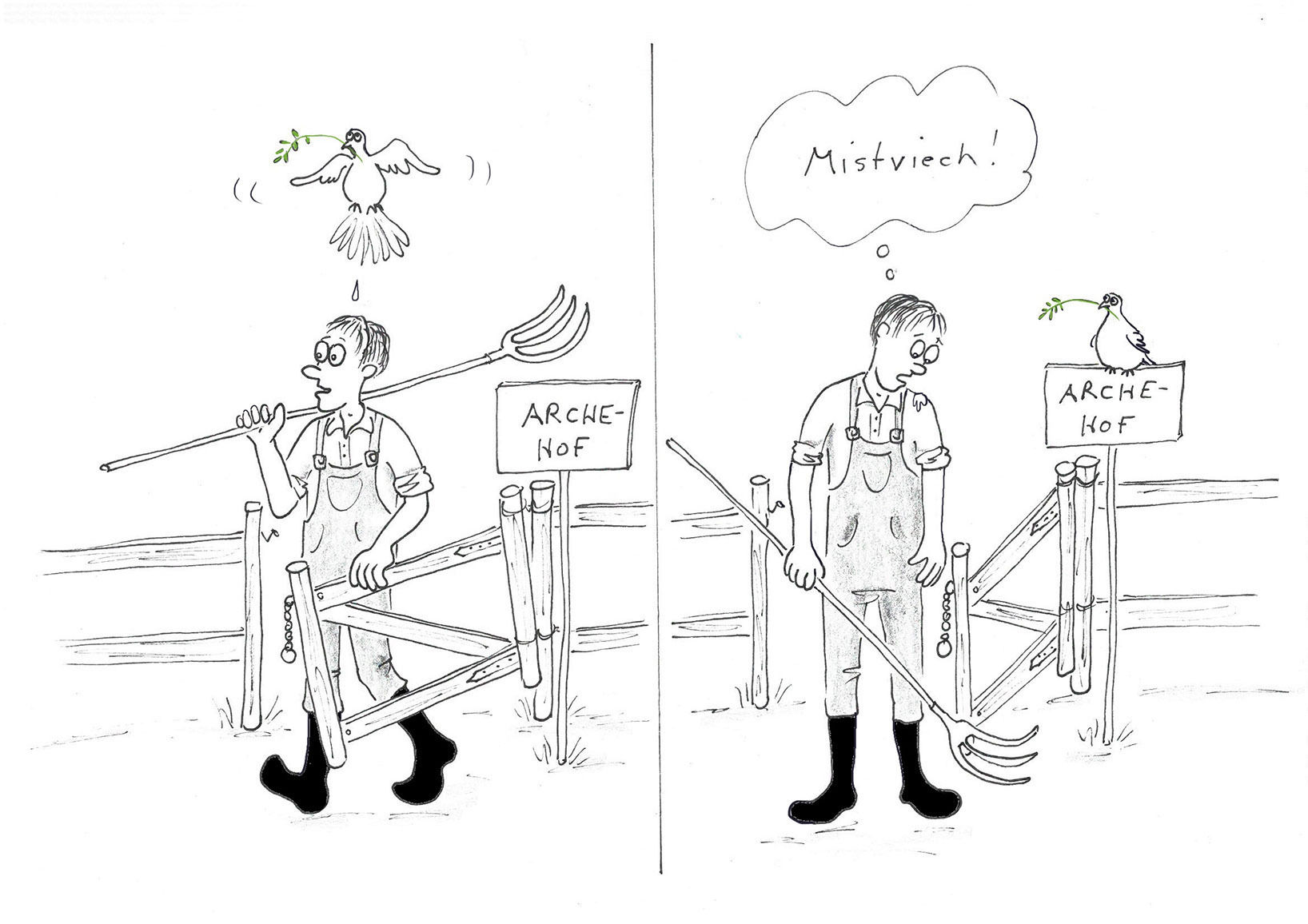 Taube.jpg © Mitterwallner