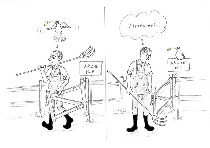 Taube.jpg © Mitterwallner