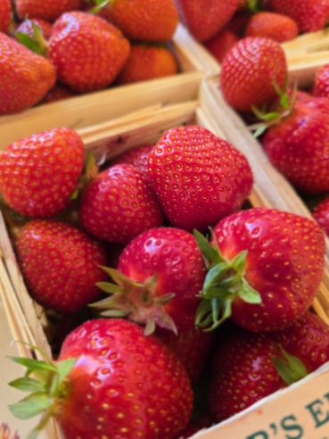 Erdbeeren aus Wiesen haben Saison.jpg © Archiv