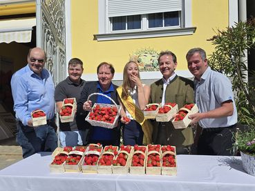 Die Erdbeerhaupternte in Wiesen 2026 ist eröffnet.jpg © Archiv