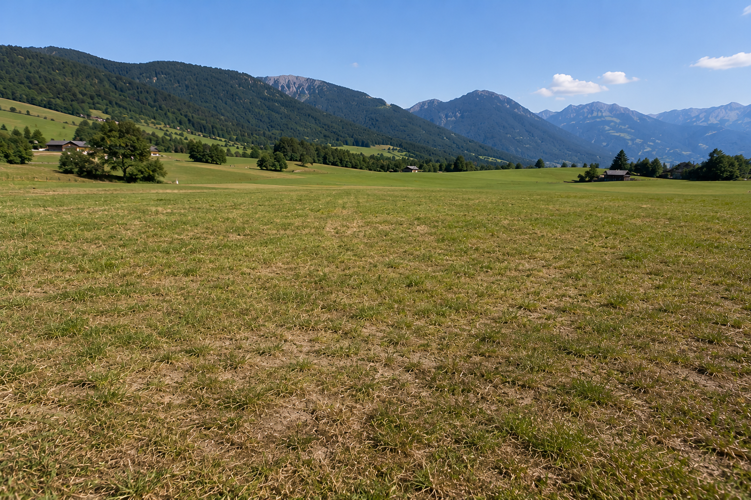 Schmuckbild Trockenheit im Grünland.png © erstellt mit KI