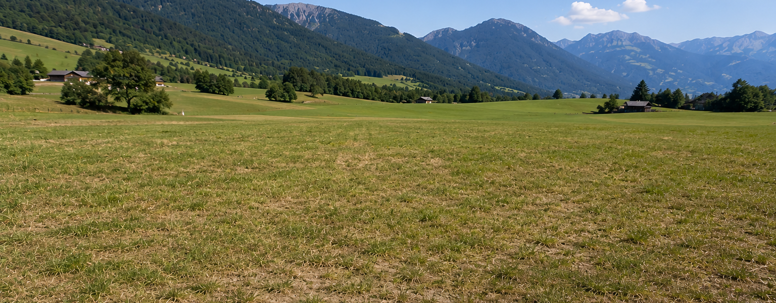 Schmuckbild Trockenheit im Grünland.png © erstellt mit KI