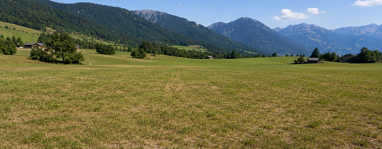 Schmuckbild Trockenheit im Grünland © erstellt mit KI