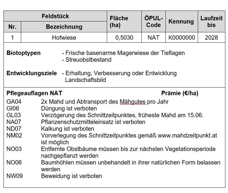 Mahdtzeitpunkt 2.jpg © LK