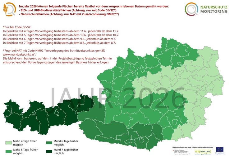 Bild1.jpg © naturschutzmonitoring.at
