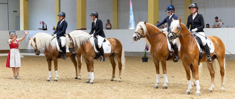 Bundeshengstschau 2026 © Viktoria Hainzl
