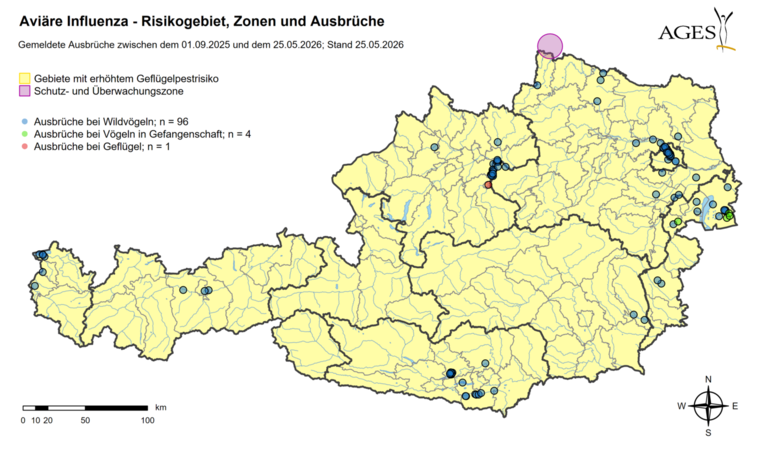 Ausbrüche Geflügelpest (Stand: 25.5.2026) © AGES