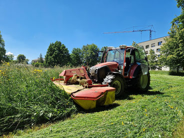 Grünlandschnitt.jpg © Hatheier